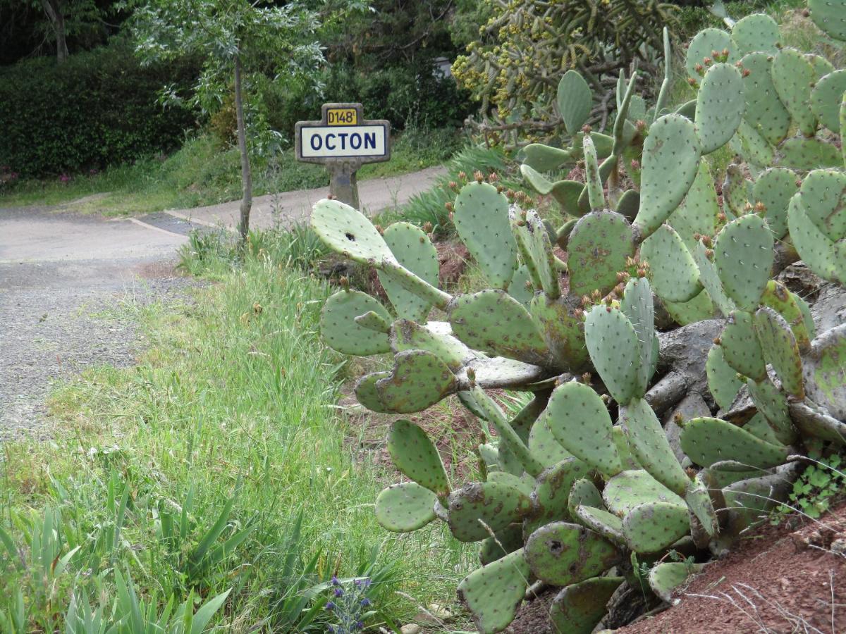 Hotes'Octon Exterior foto